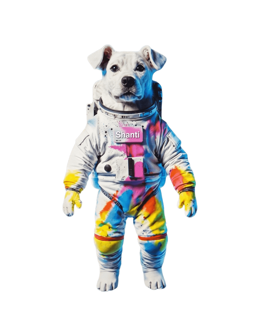 Cachorro Astronauta