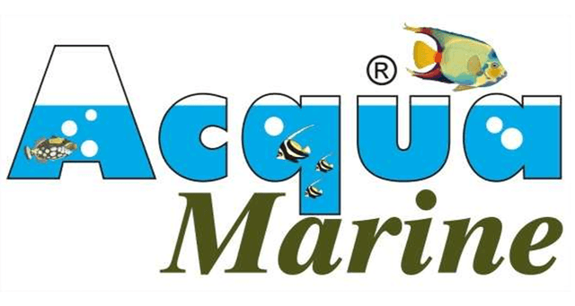 Aqua Marine